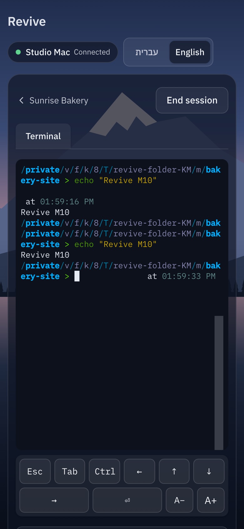 A terminal on an iPhone with a row of keys for agents